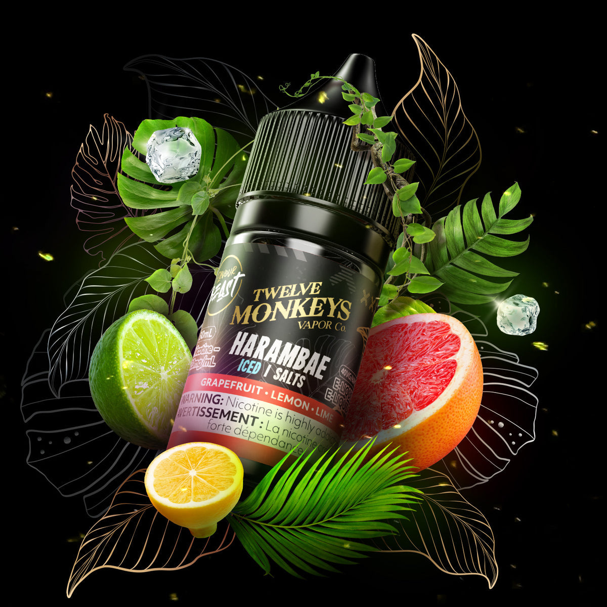 FLAVOUR BEAST SALT-HARAMBAE 30ML-MONKEY SERIES - 30 ML / 20 MG